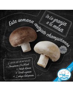 Pack MIX de champignon PARIS + PORTOBELLO