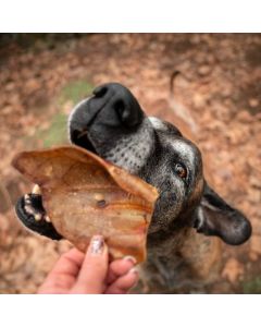 Oreja de cerdo 500gr